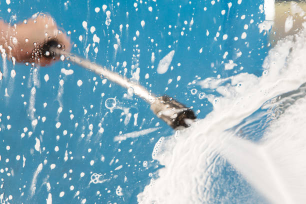 Animal Enclosure Cleaning in Lockhart, FL
