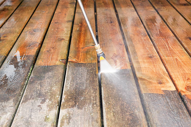 Best Animal Enclosure Cleaning  in Lockhart, FL